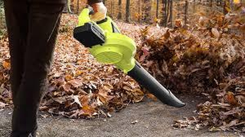 2025 11 17 Leaf Blower