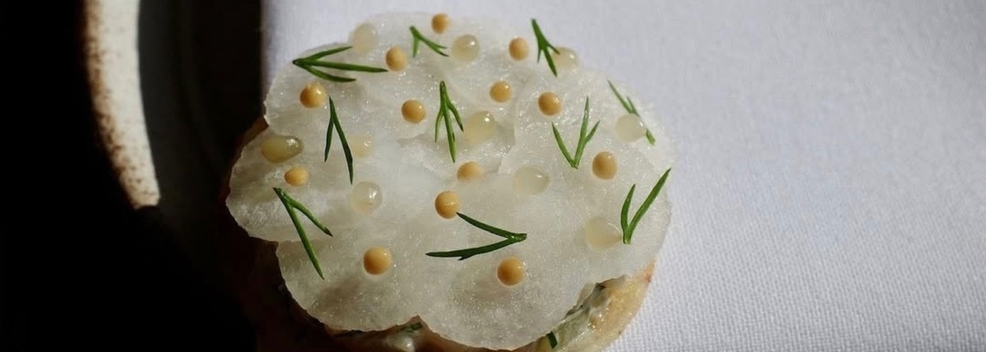 2026 02 09 Skof Header