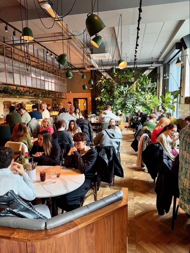 2026 02 16 Butter Bird Inside