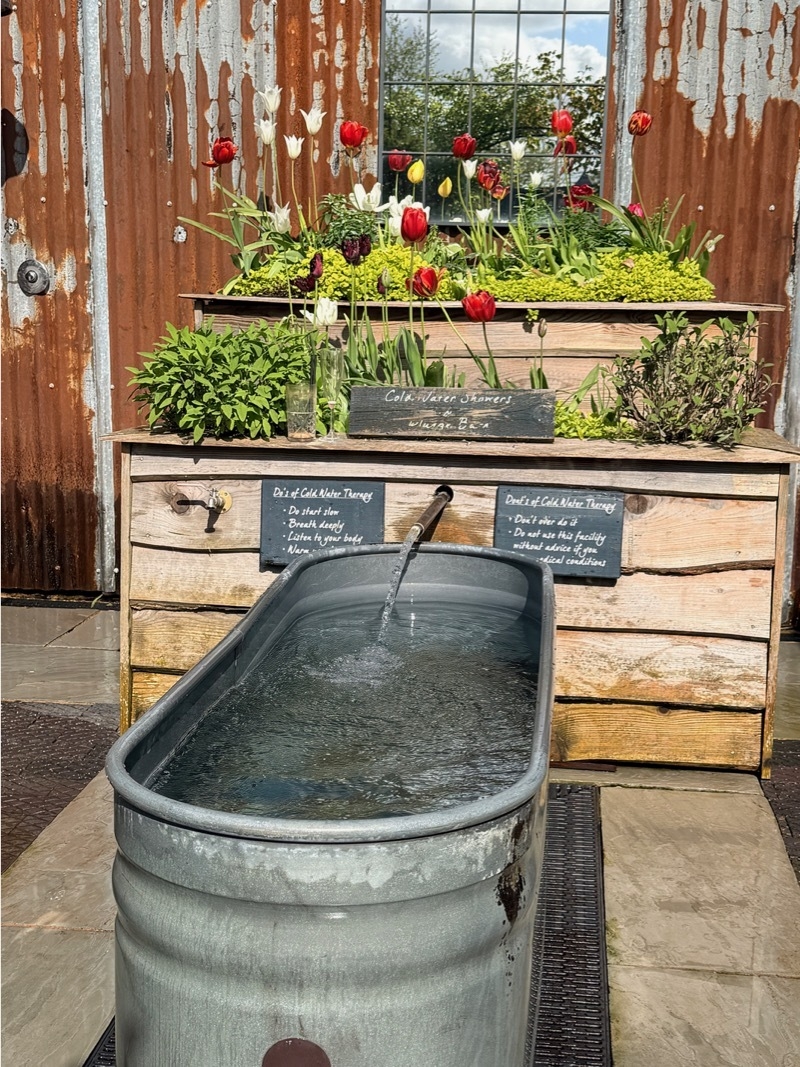 2026 04 22 Manor House Plunge Pool