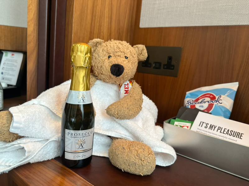 2026 04 24 Kimpton Clocktower Teddy