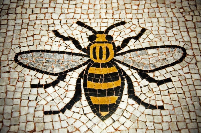 4 Manchester Bee