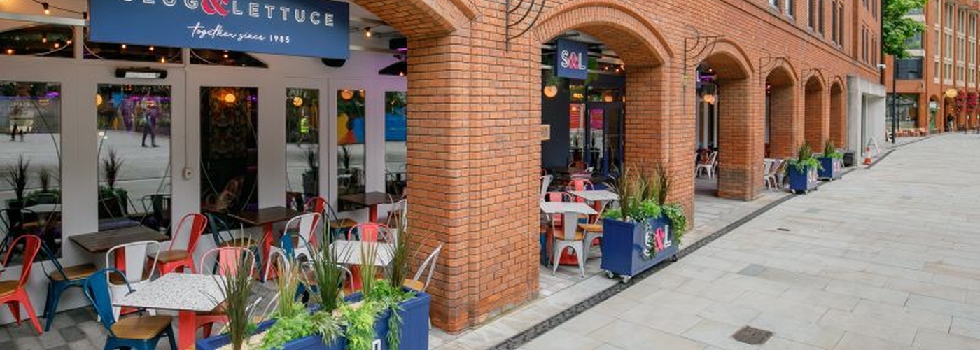 2026 07 22 Slug Lettuce