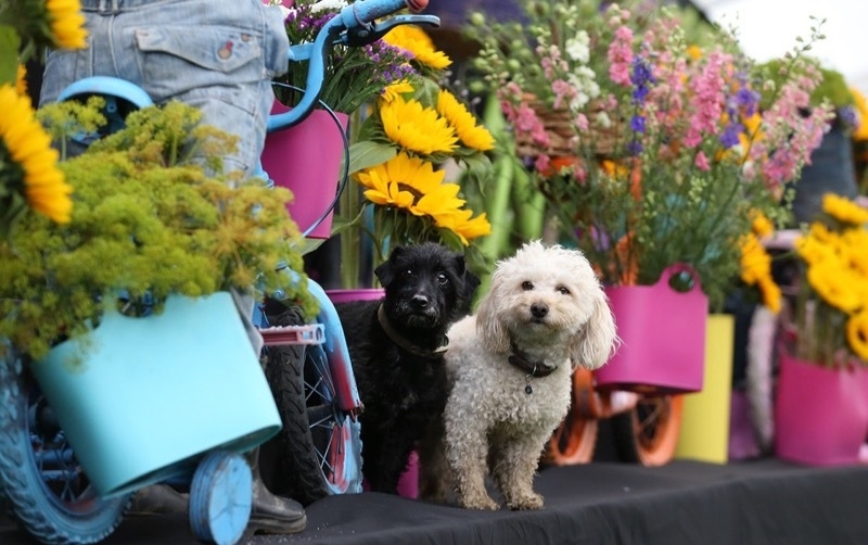 2026 07 23 Southport Flower Show