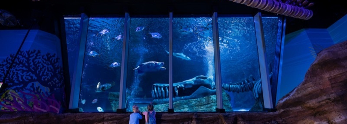 2026 09 08 Sea Life Ocean View