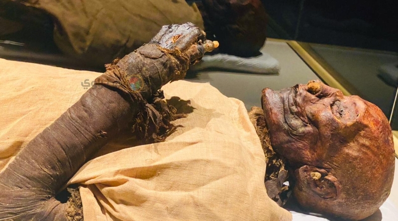 Mummies