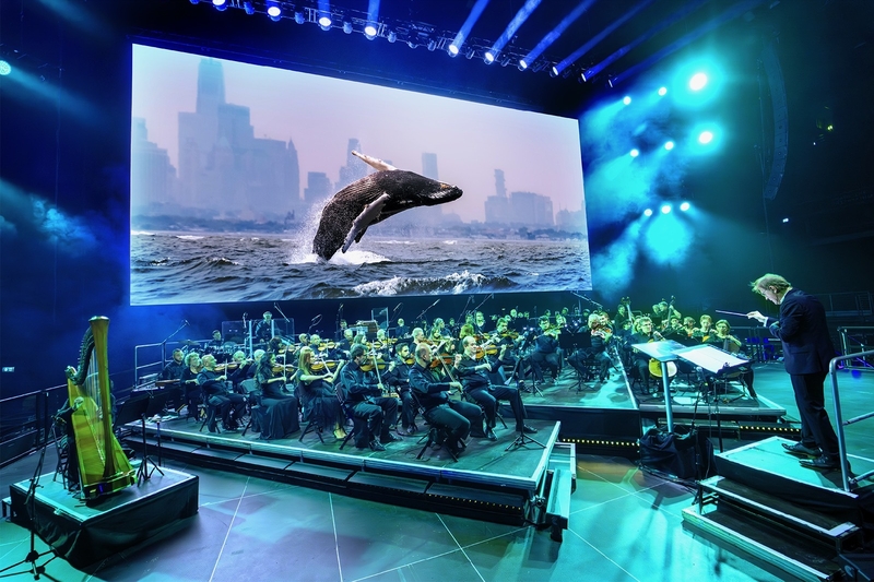 2026 10 29 Whale Image Bbc Studios 1