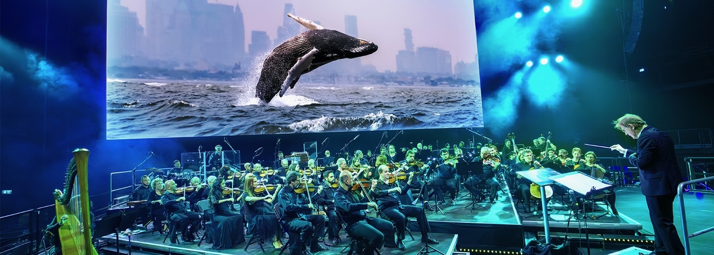 2026 10 29 Whale Image Bbc Studios 1