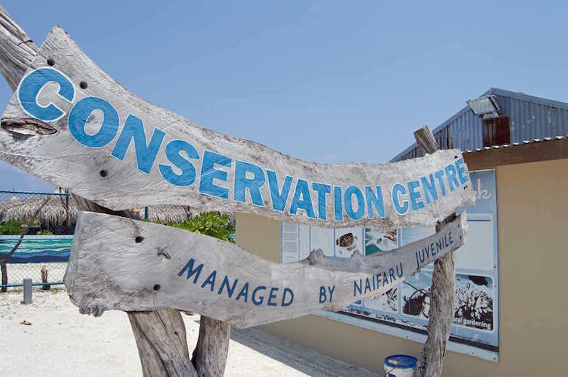 171021 Turtle Conservation Centre
