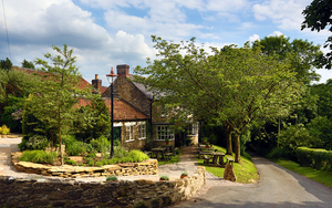 2018 08 01 Black Swan