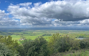 Pig View