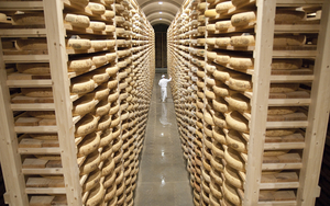 2019 11 10 St Antoine Shot