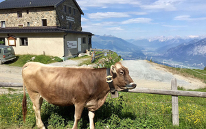 170820 Patscherkofel Mountain Trail