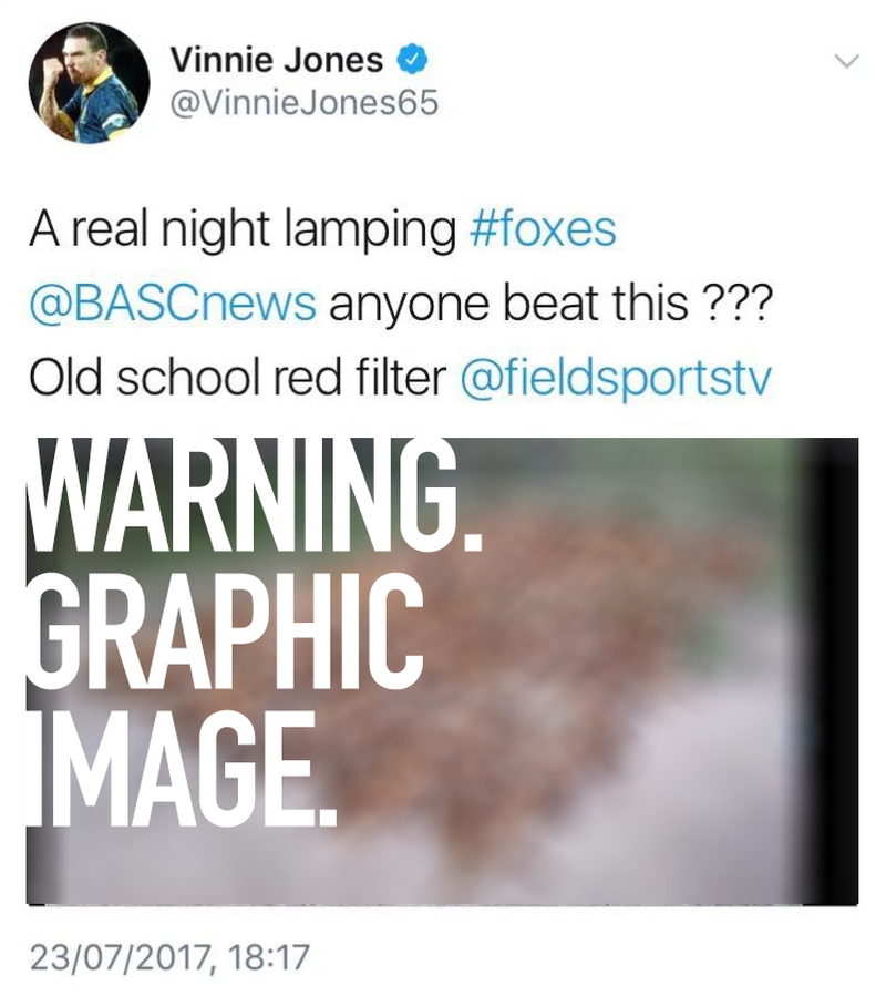170725 Vinnie Jones Tweet 1 Censored