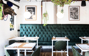 Brasserie Loup Berry Street French Restaurant Liverpool Hogs Head Chairs Tables