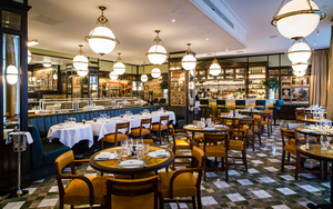 The Ivy Kensington Brasserie Main Interior Shot