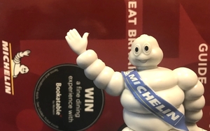 Michelin Man Book