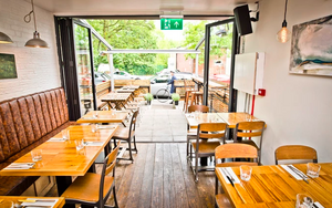 Oystercatcher Chorlton 2