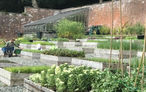 170725 Forest Side Review Kitchen Garden