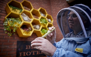 20172609 Jurys Inn Bee Happy Hotel 2