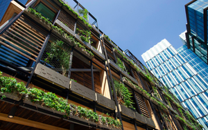 The Ivy Allied London Credit