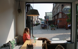 20172006 Common Ground Looking Out