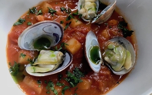 2018 07 27 Oystercatcher Chowder