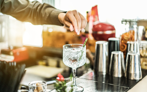 2018 09 20 Mfdf Gin Cocktails