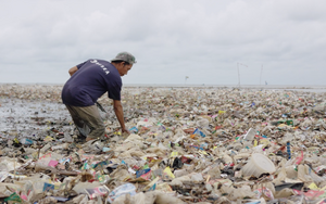 2020 08 17 Resea Ocean Plastic