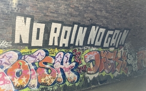 2024 08 09 Safari 6 Thumbnail