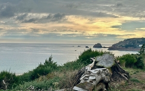 2024 07 10 Jersey Thumbnail