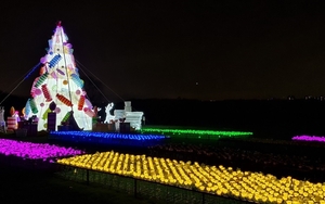 2020 12 04 Lightopia