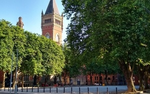 London Planes Saved Of Aytoun Street Car Park 1