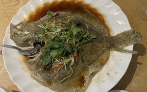 November Dotm Jonathan Turbot Thumbnail