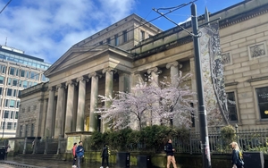 Manchester Art Cherry