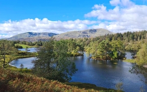 Tarn Hows In The Lake District 800 X 1200