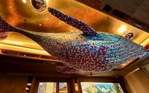 2023 11 22 Sexy Fish Whale Thumbnail