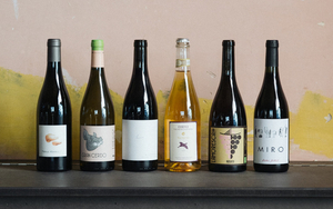 2020 05 04 Higher Ground Wine Bottles Andy Hatton Credit