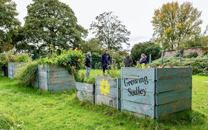 Growing Sudley Eco Green Activities Yoga Foraging Kids Wellbeing Walled Garden Sudley House