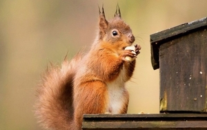 2023 10 04 Dunham Massey 1