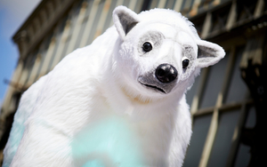 2019 06 18 Clean Air Manchester Day Polar