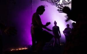 Tribe Gaia Purple Credit Tribe Gaia 1