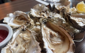 2024 08 07 Oystercatcher Sale 5