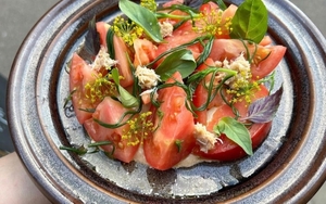 2023 08 03 Yellowhammer Tomatoes