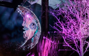 2025 10 13 Twilight Trail Nov2024 @jodyhartley 34