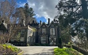 2024 04 12 Forest Side Thumb