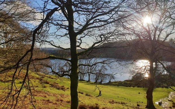 The Sun Shining Through The Trees At Loughrigg Tarn