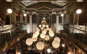 2024 11 18 Safari 9 Thumbnail