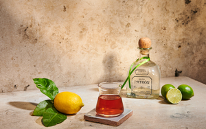 2021 02 19 Margarita Cocktail Science And Industry Rainy Day Parade