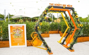 Honey Bee Maze Copyright Simon Dewhurst Photo Ltd